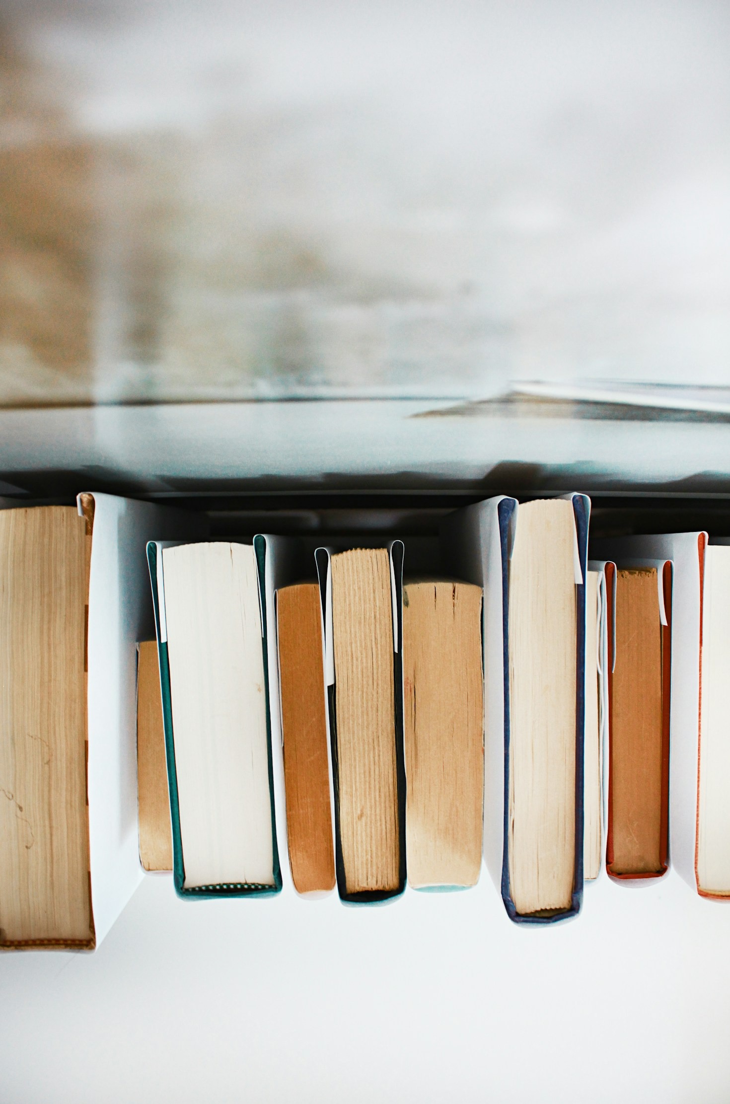 The Power of Intellectual Curiosity in Modern Times